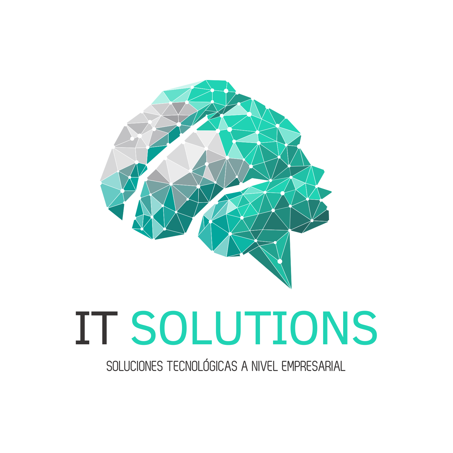 IT SOLUTIONS